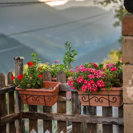 Aelion Escape Villa Miríki